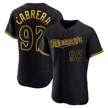 Genesis Cabrera Men's Authentic Minnesota Twins Black Snake Skin City Jersey